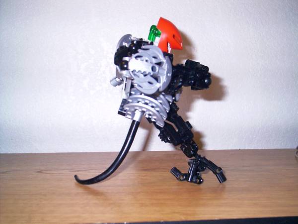 cajun003.jpg