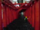 dsc00123.jpg