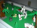 dsc00704.jpg