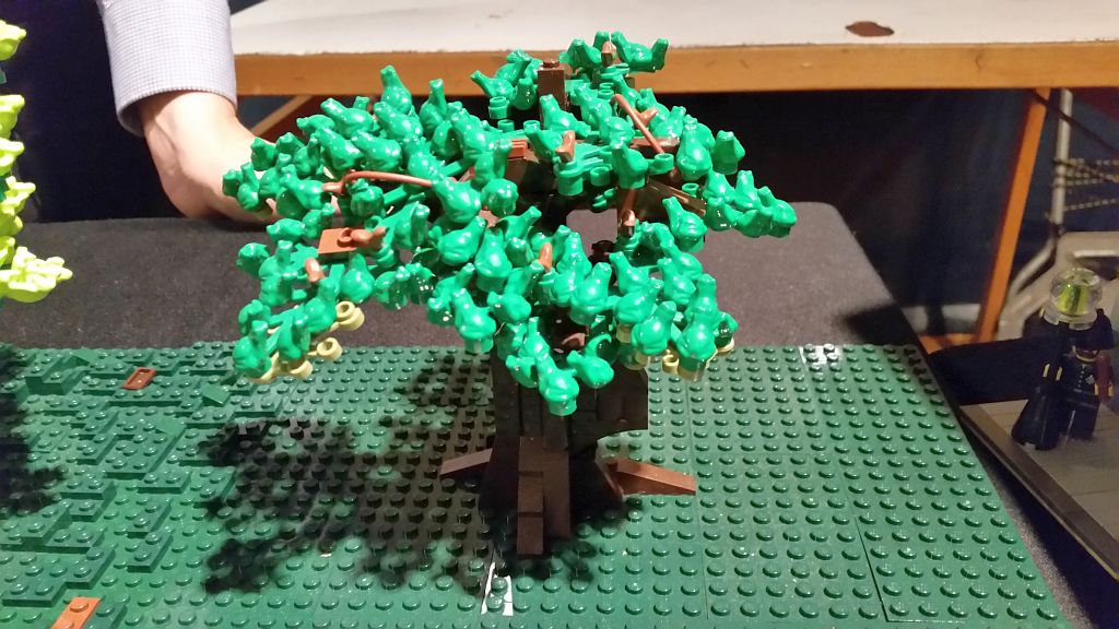 20151017_161852.jpg