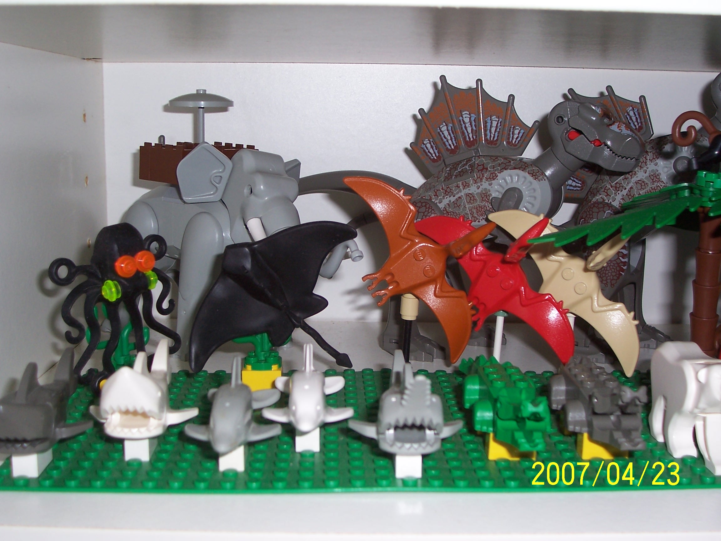 animals_1.jpg