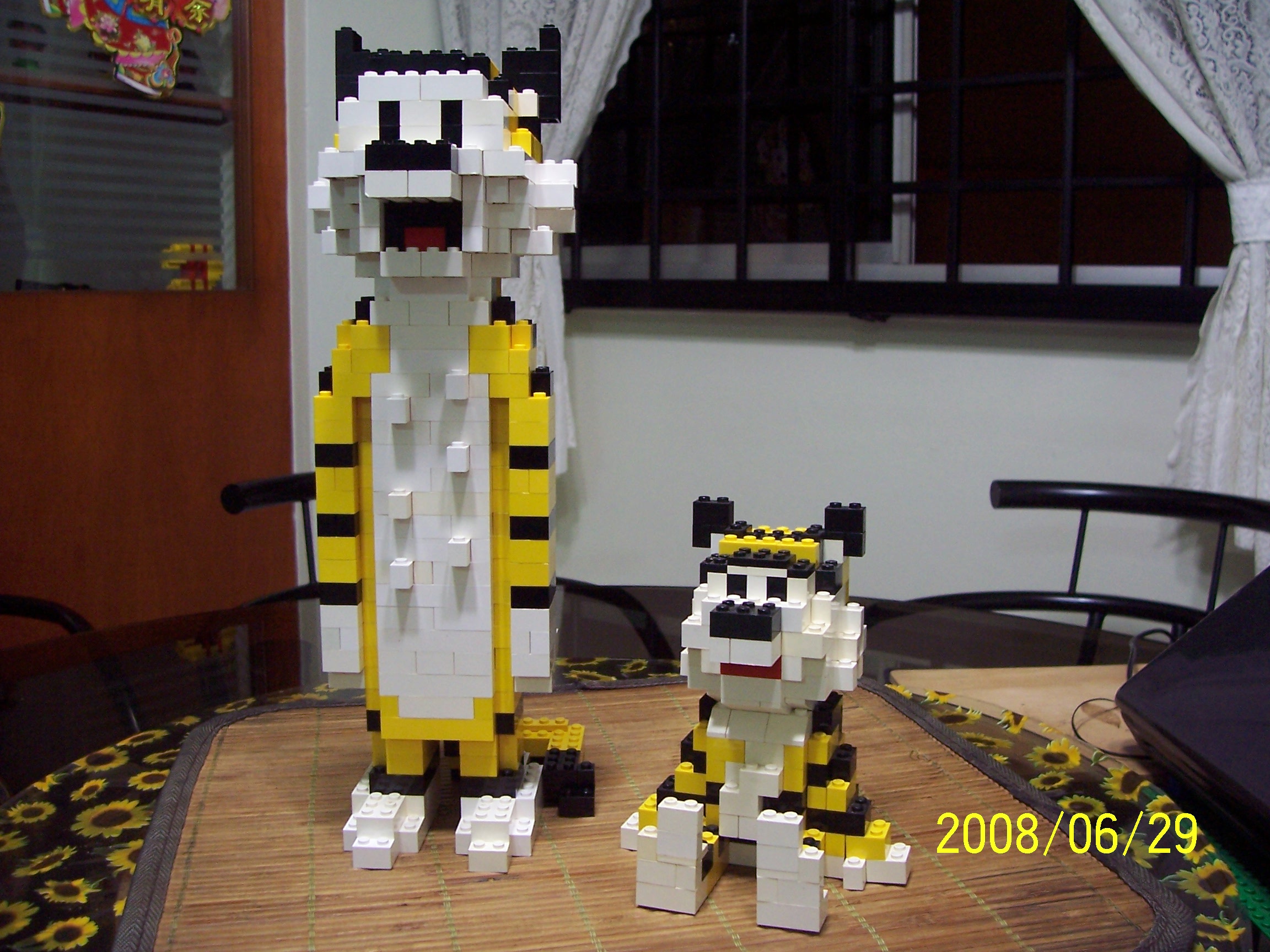 100_8221.jpg