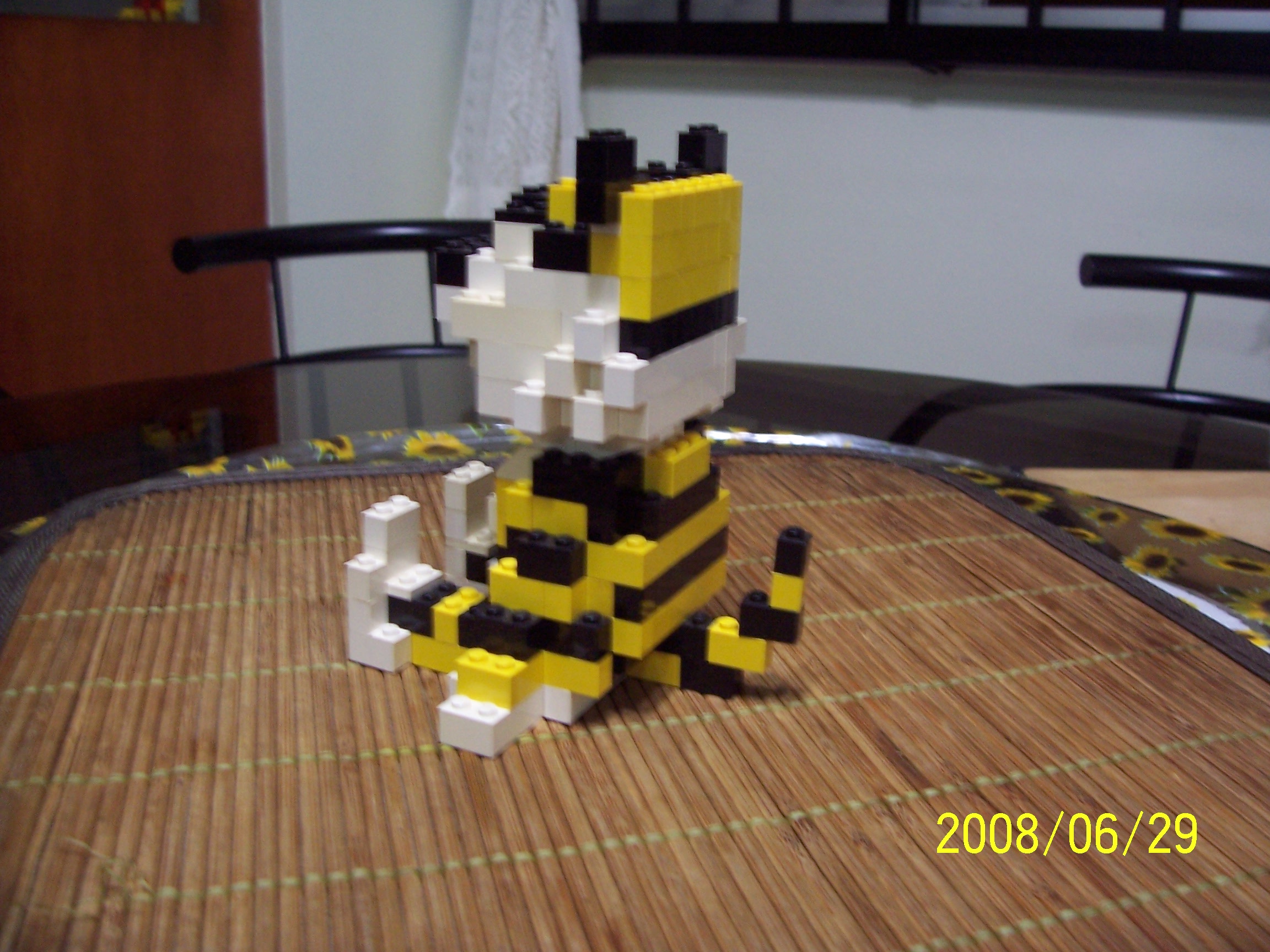 100_8229.jpg