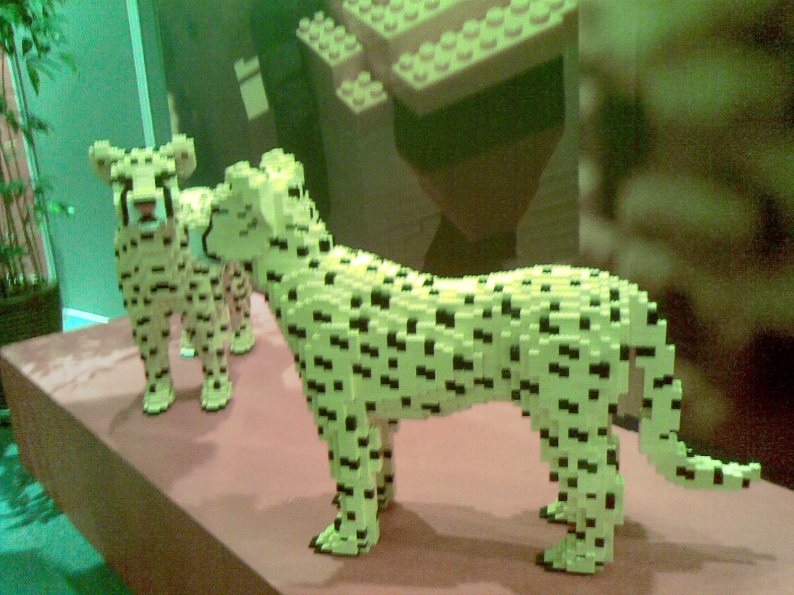 20080120.jpg