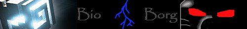 bioborgsig.jpg
