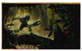 lewa.gif