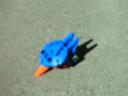 lilBird