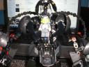 hammerback_2.jpg