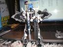 animus_prime_4.jpg