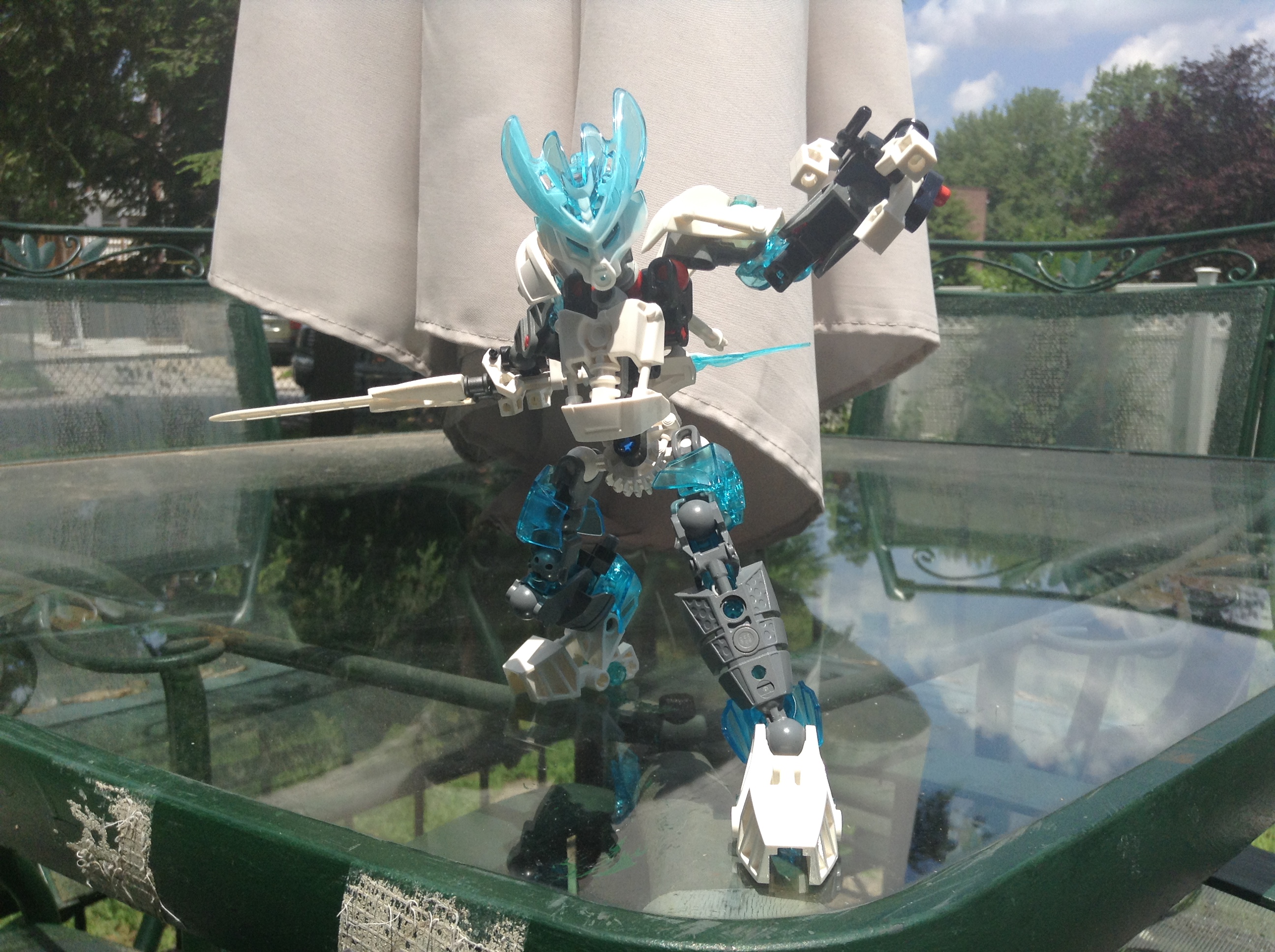 protector_of_ice_4.jpg