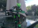 protector_of_jungle_1.jpg
