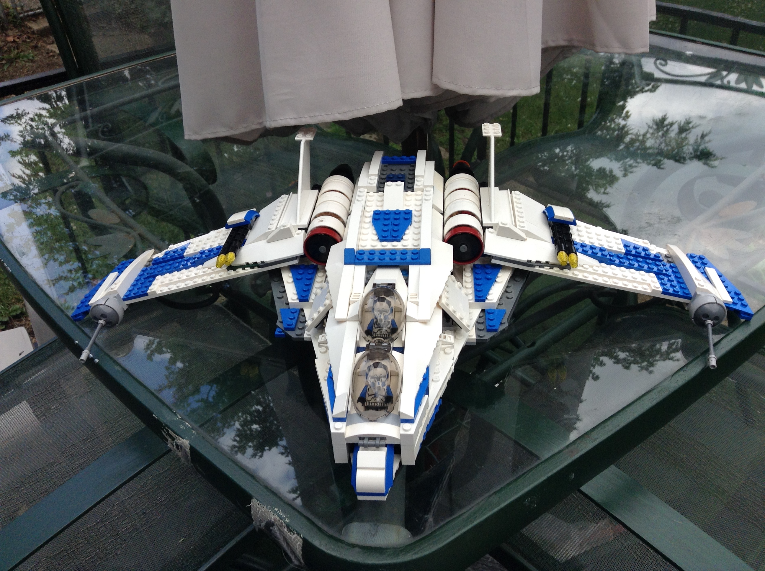 pelican_2289.jpg