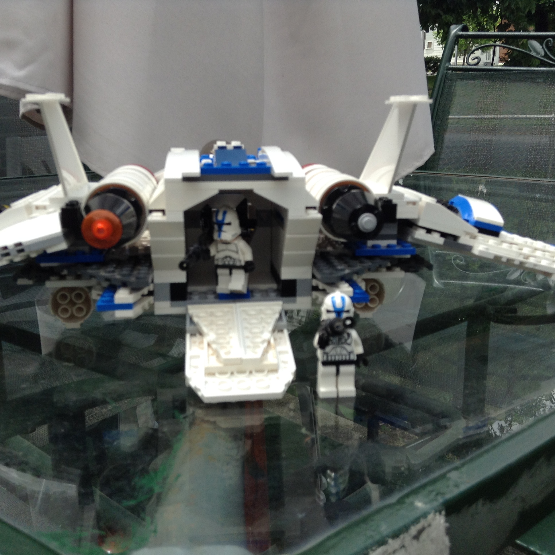 pelican_2292.jpg