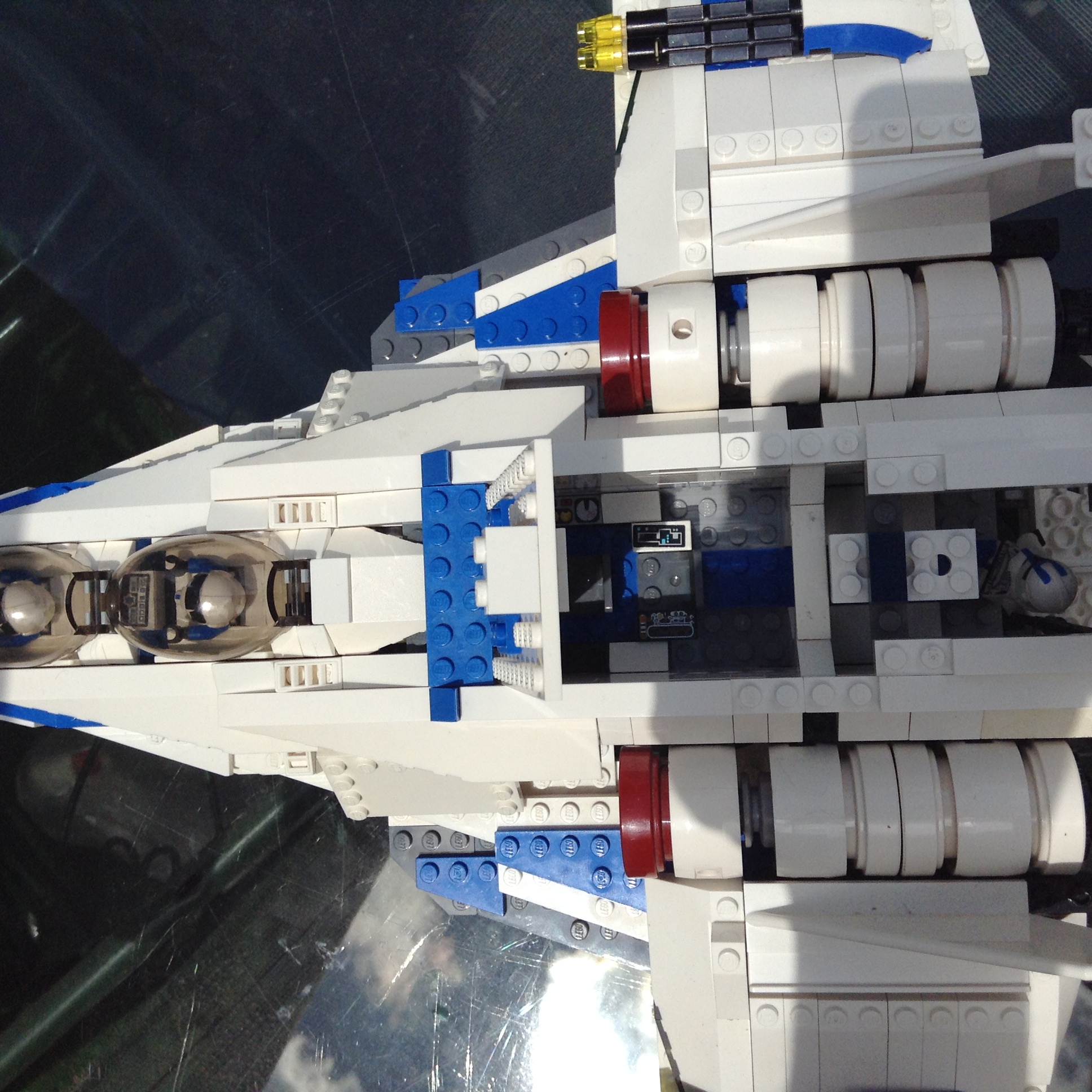 pelican_2294.jpg