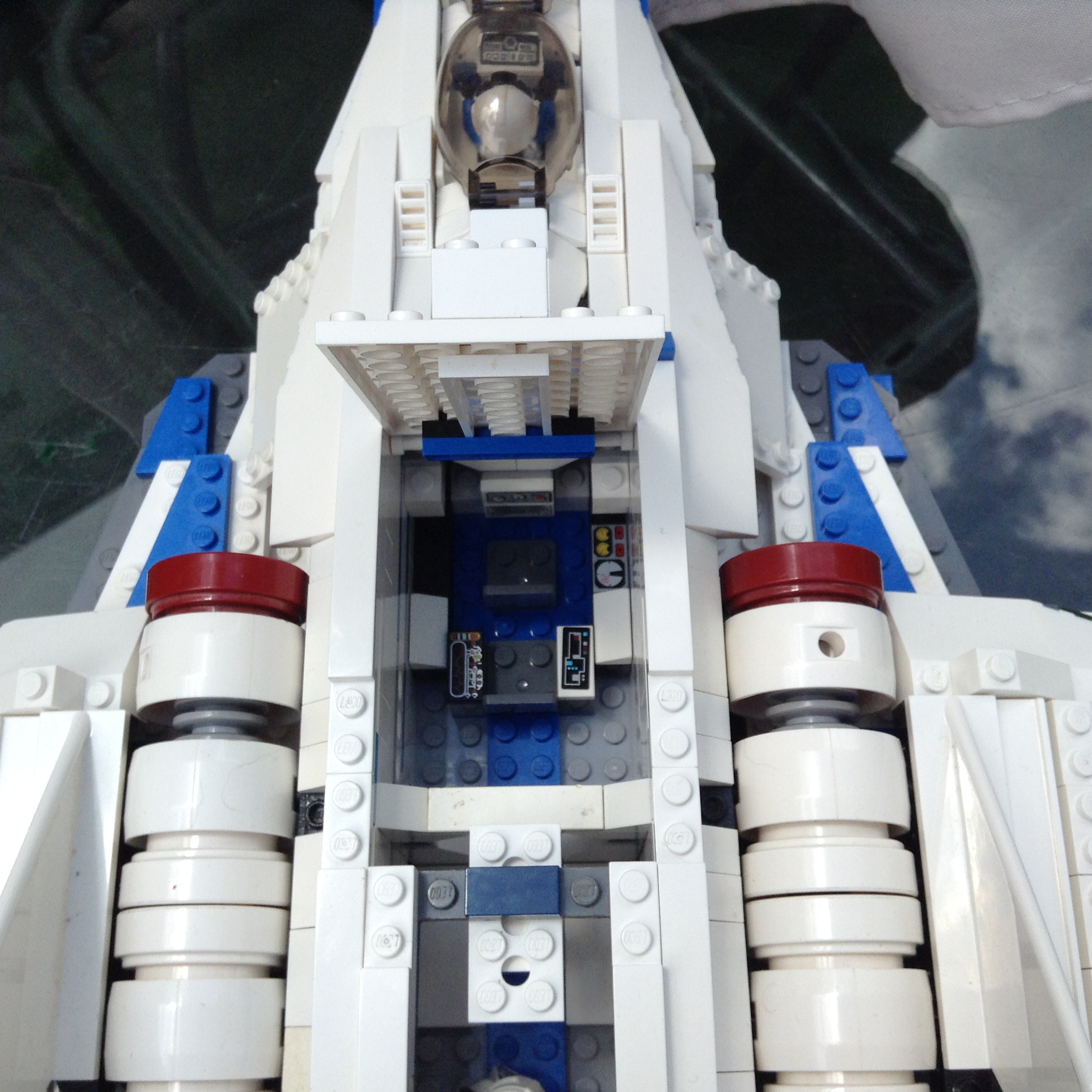 pelican_2297.jpg