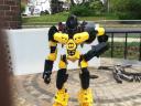 YellowJacket