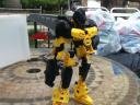 yellow_jacket_2.jpg