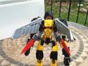 yellow_jacket_3.jpg