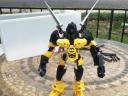 yellow_jacket_4.jpg