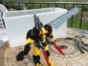 yellow_jacket_5.jpg