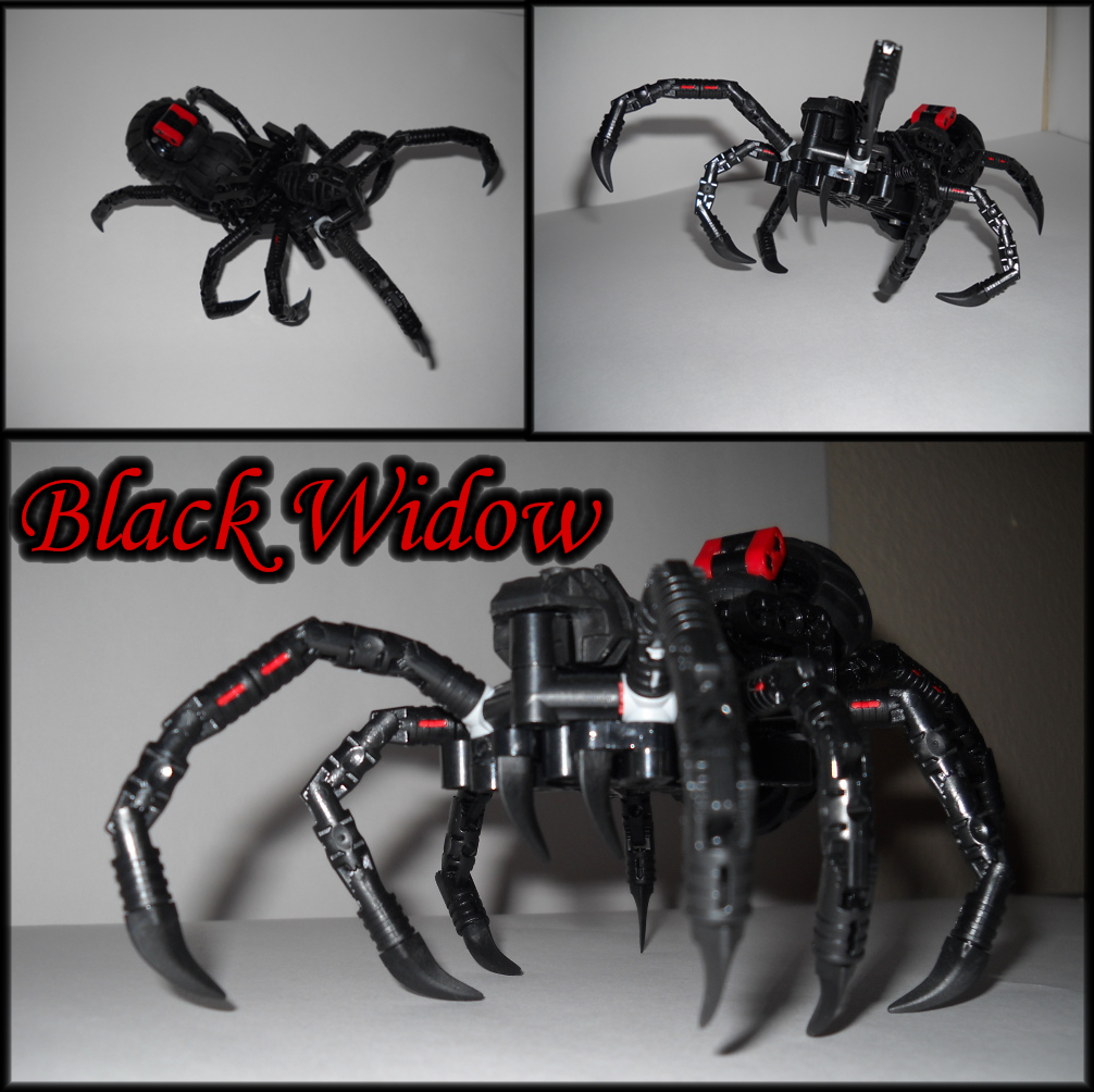 black_widow_spider_entry_pic.png