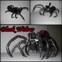 black_widow_spider_entry_pic.png