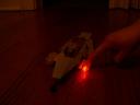 dscn8301.jpg
