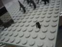 dsc01816.jpg