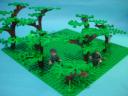 dsc01874.jpg
