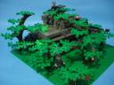dsc01888.jpg