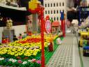 dsc02239.jpg