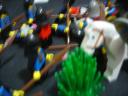 dsc00403.jpg
