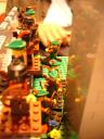 dsc00658.jpg