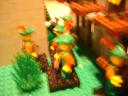 dsc00662.jpg