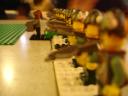dsc00848.jpg