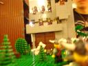 dsc00856.jpg