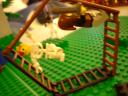 dsc00870.jpg