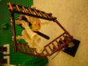 dsc00875.jpg