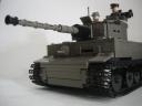 newtiger