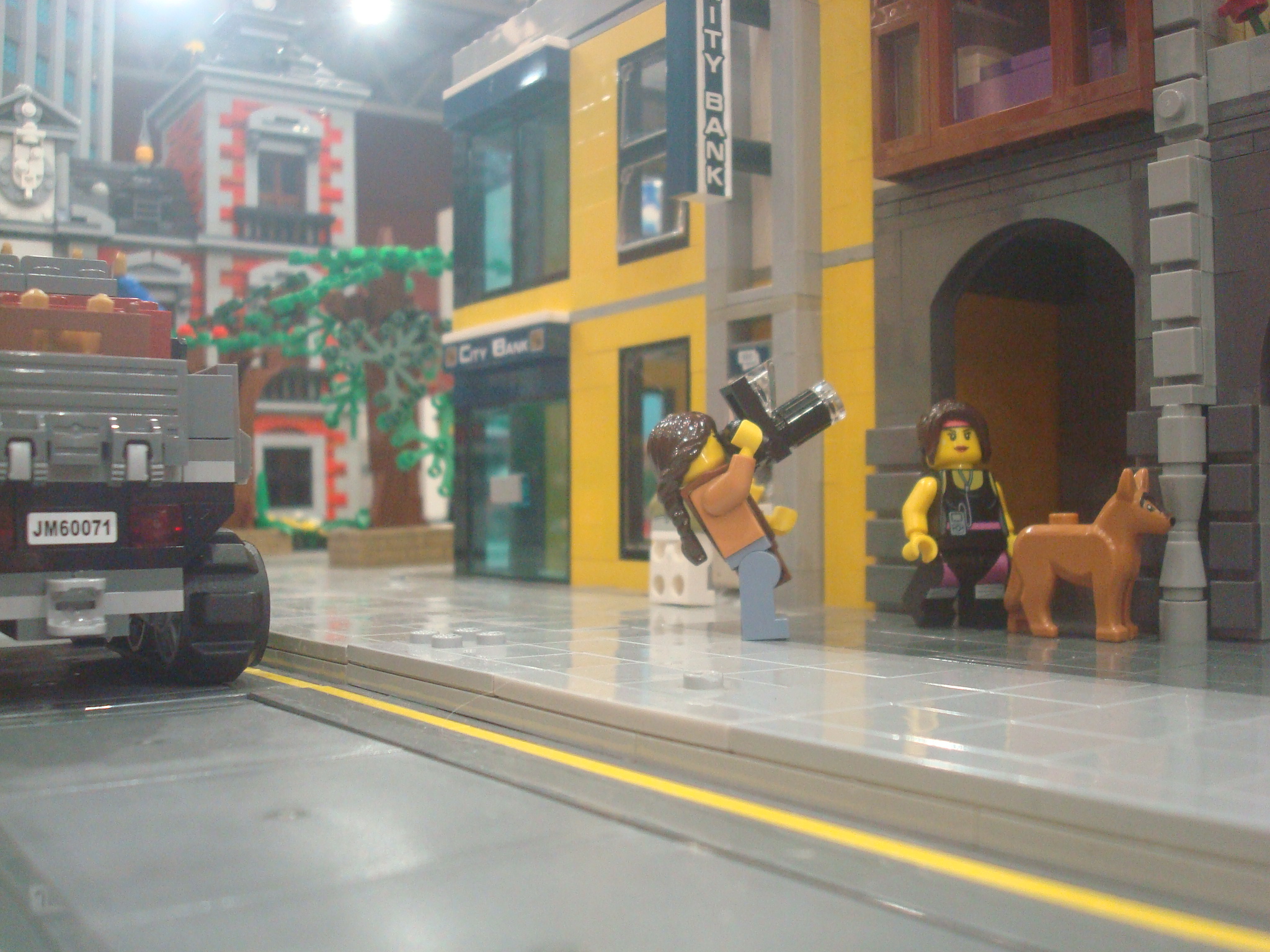 dsc00012.jpg