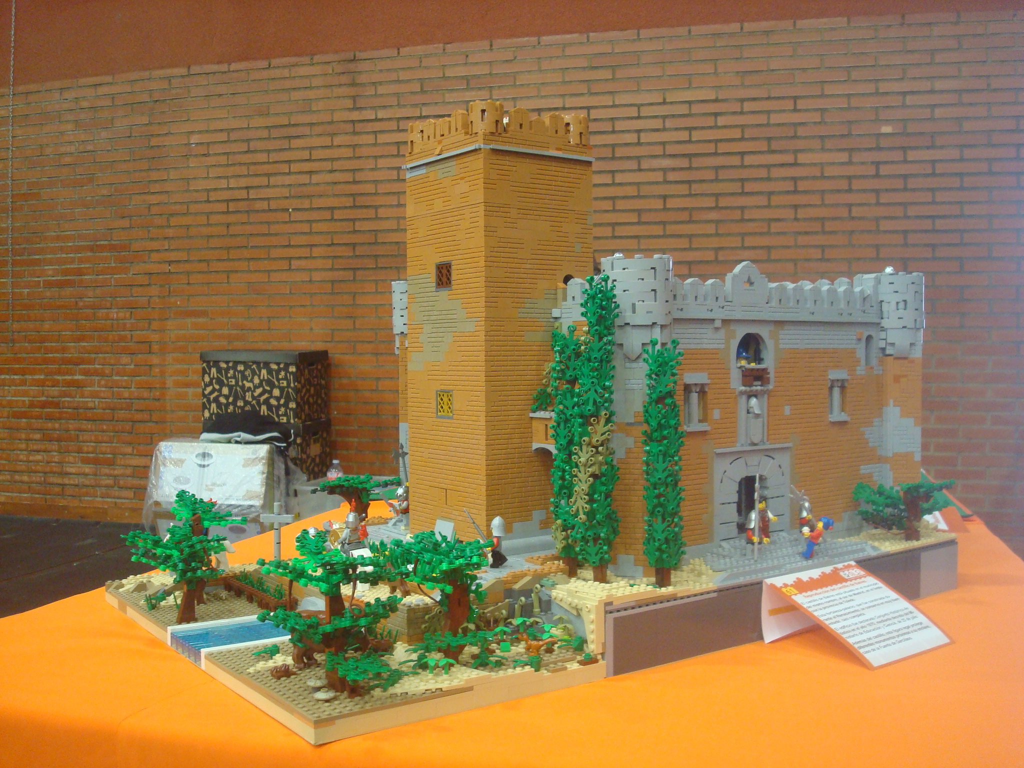 dsc09886.jpg
