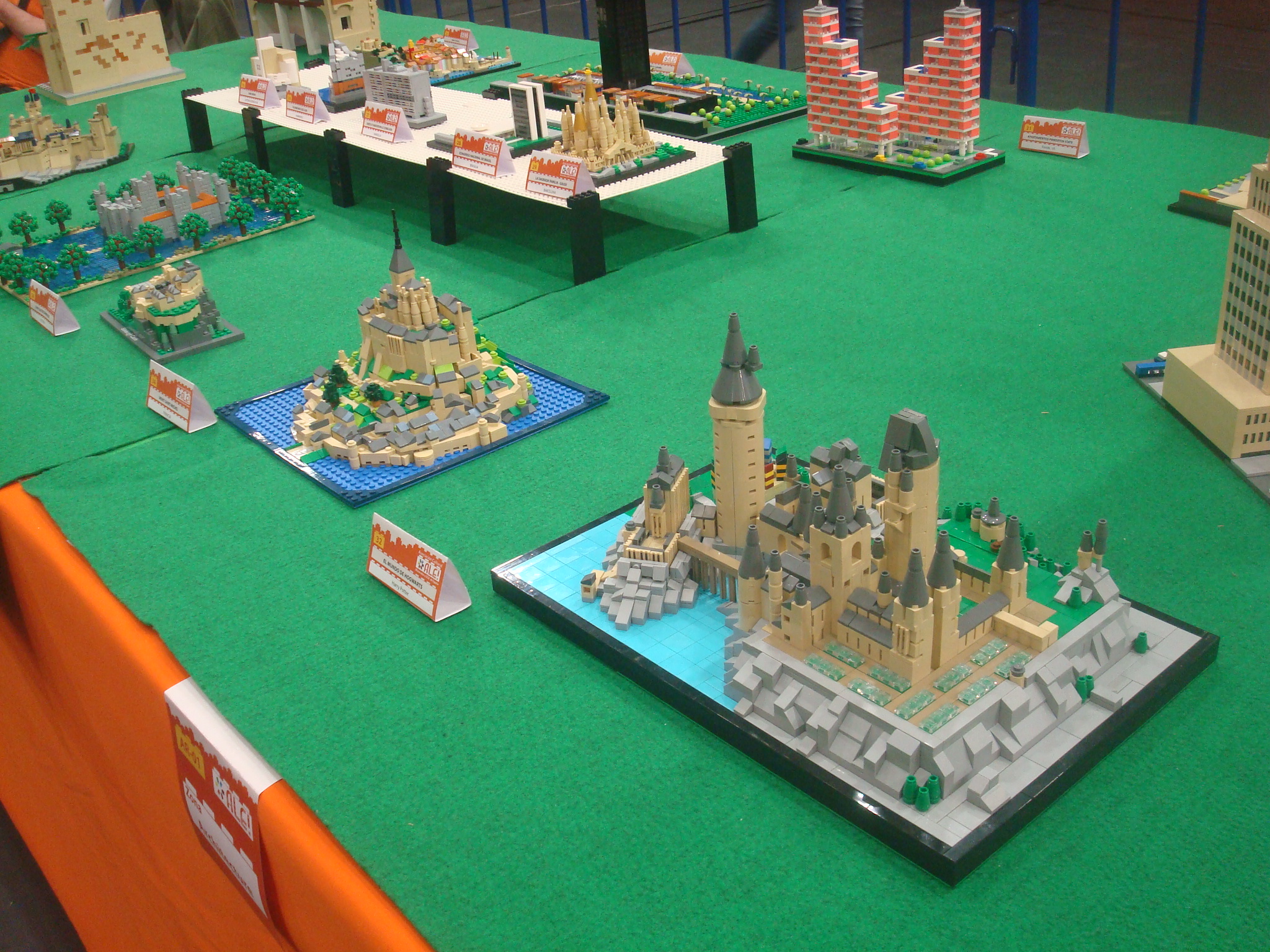 dsc09950.jpg