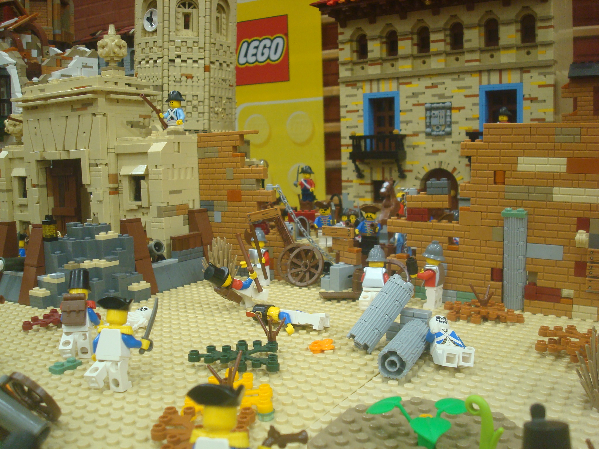 dsc09977.jpg