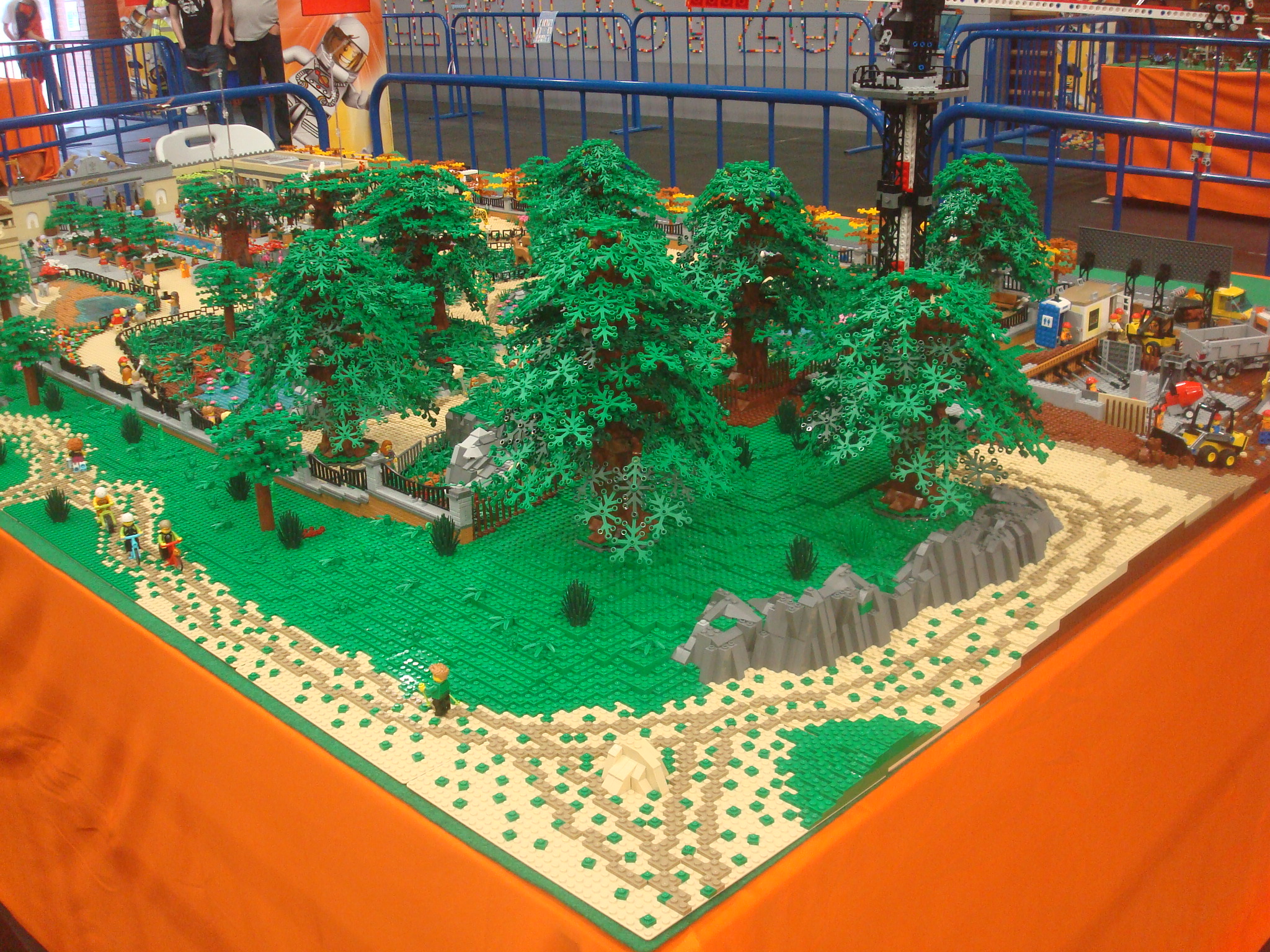 dsc09993.jpg
