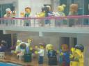 dsc00017.jpg