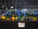 dsc08589.jpg