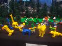 dsc08592.jpg