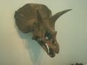 dsc08596.jpg