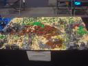 dsc08602.jpg