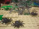 dsc08608.jpg